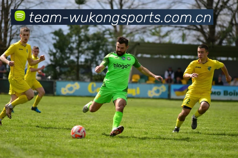悟空体育电脑版入口网页版使用步骤